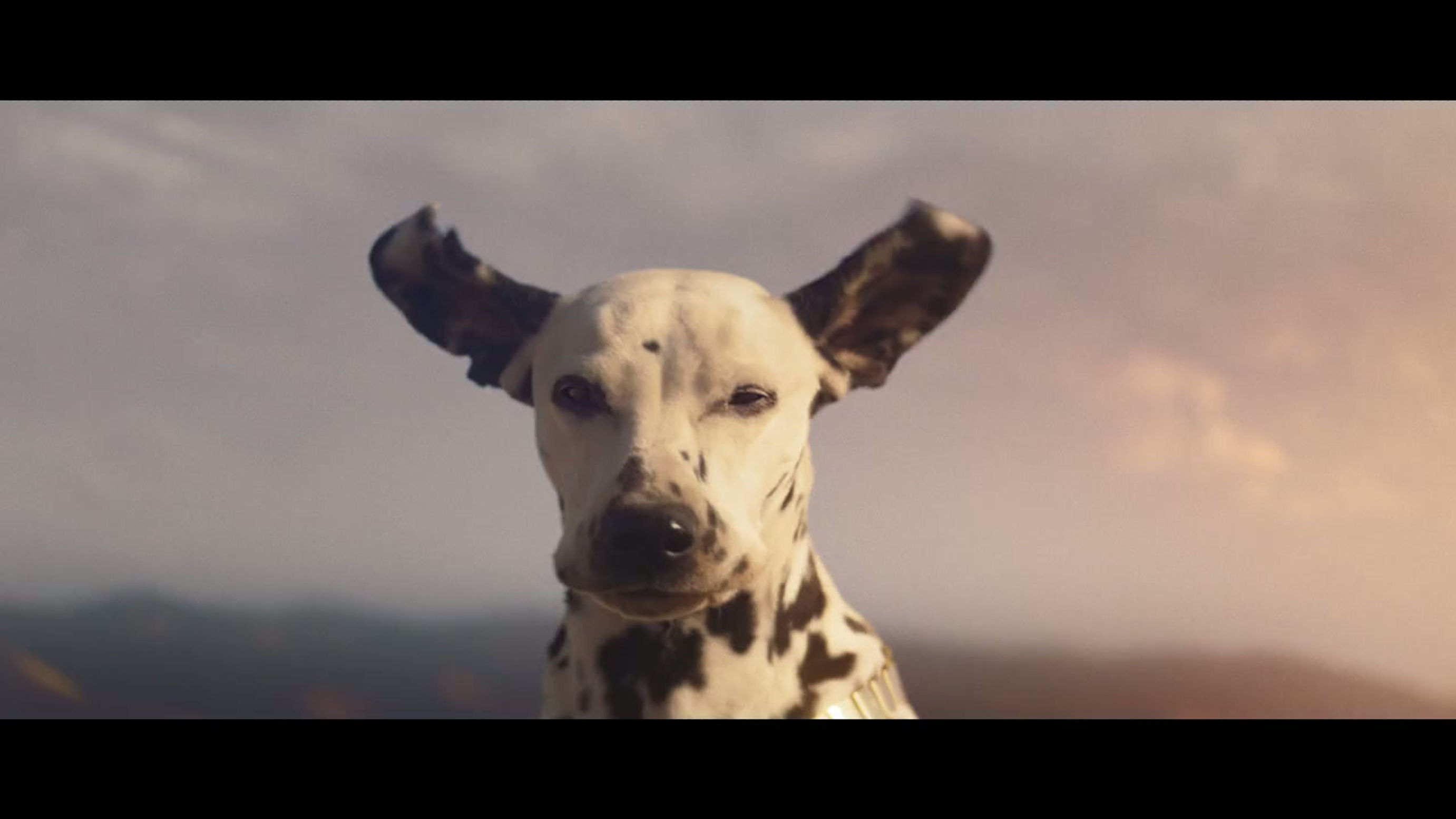 Wind Never Felt Better